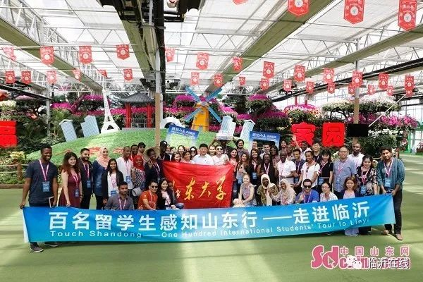 Marvels of Linyi culture charm overseas students