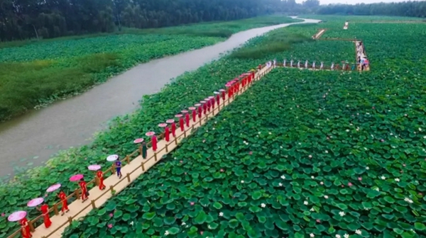 Qipao show adds color to Taierzhuang wetland park