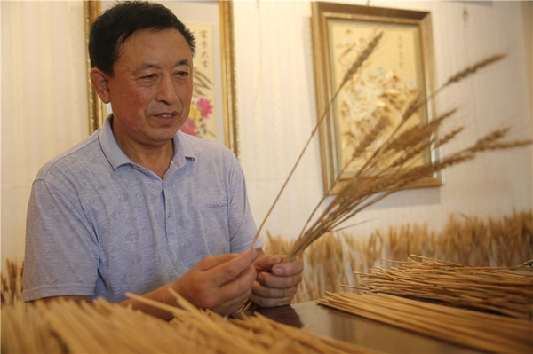 Qingdao farmer dedicated to straw painting