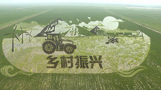 Art adds fun to rice paddy in Dongying