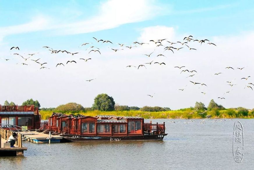 Beauty of the Yellow River Estuary Ecotourism Area