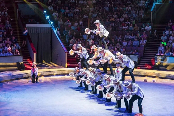 Shandong Acrobatic Troupe bags awards at world circus festival