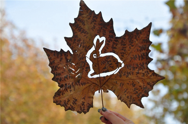 Carving on fallen leaves