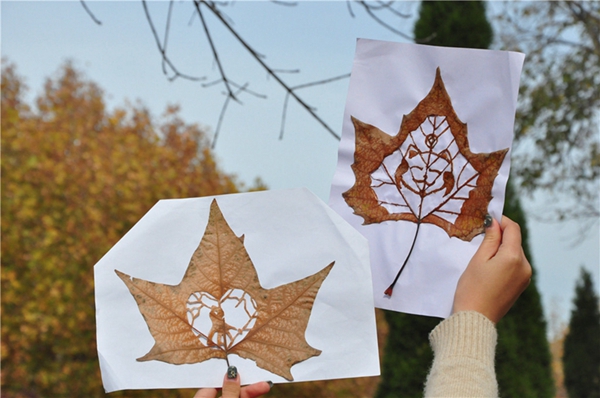 Carving on fallen leaves