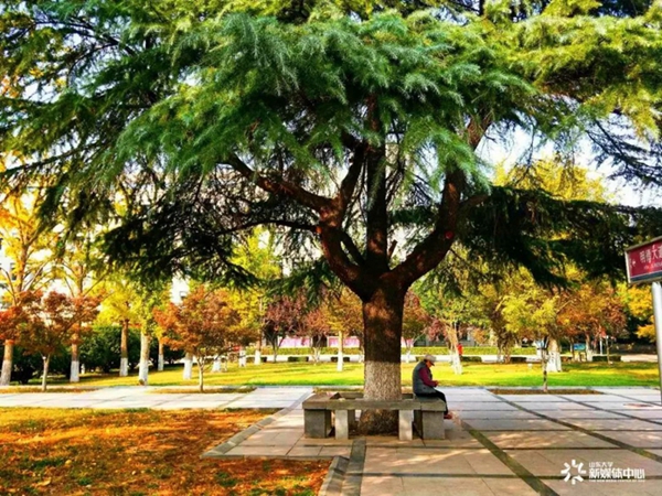 Discover Shandong University through foreign students' lens