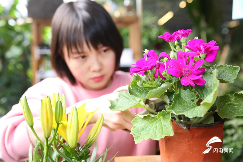 Flowers enjoy brick sales as Spring Festival approaches