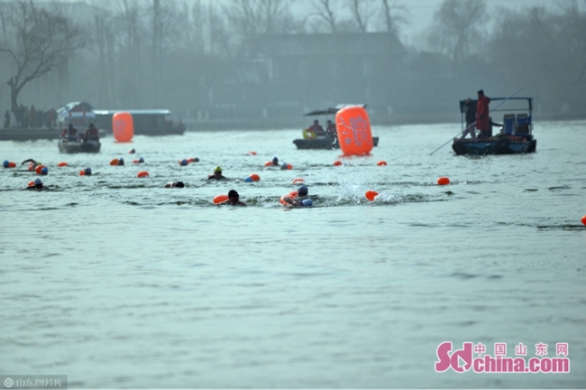 In pics：Swimmers from across the world brave icy water in Jinan