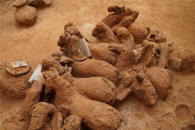 Sixteen ancient tombs discovered in Shandong