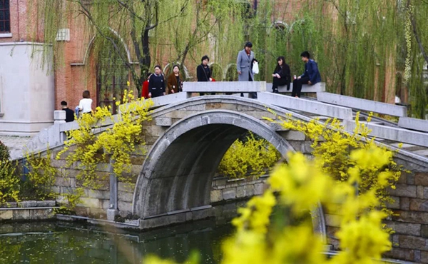 Early spring scenes full of life in Taierzhuang ancient town