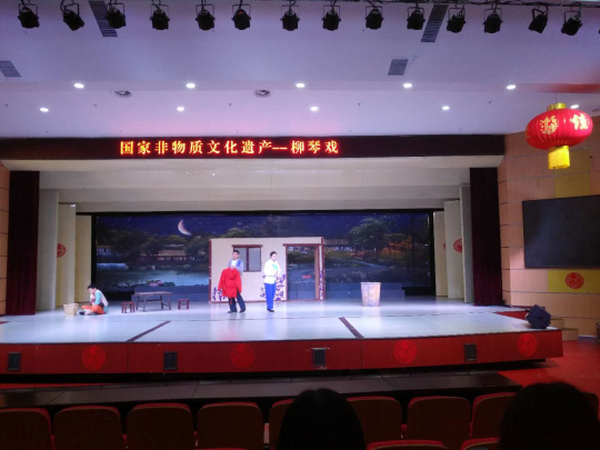 Liuqin Opera performer calls for cultivation of more talents