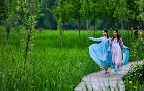 Enjoy outdoor leisure time in Taierzhuang Wetland Park