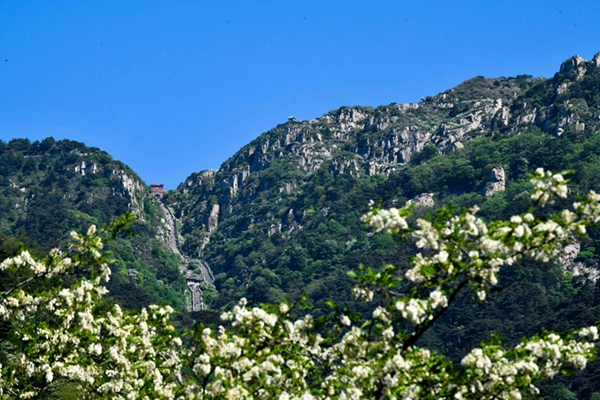 Beautiful Mount Tai captured in photos