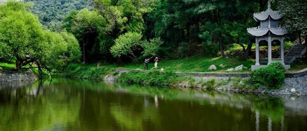 Explore the spring scenery in Jining