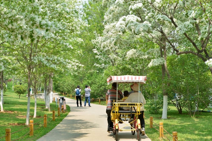 Tourists enjoy floral scenery in Shandong