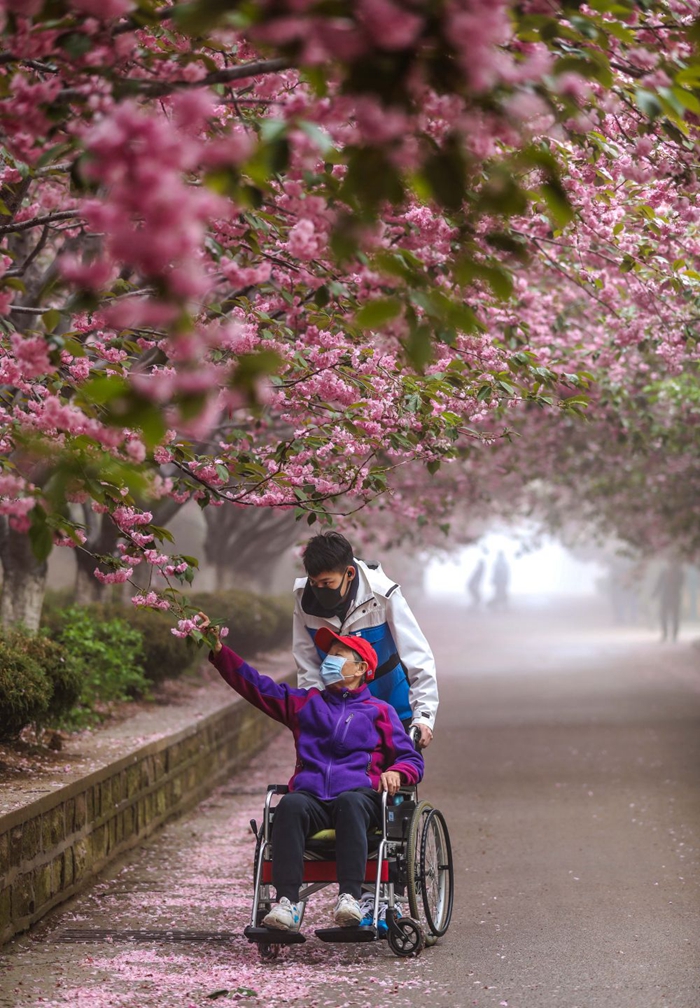 Tourists enjoy floral scenery in Shandong