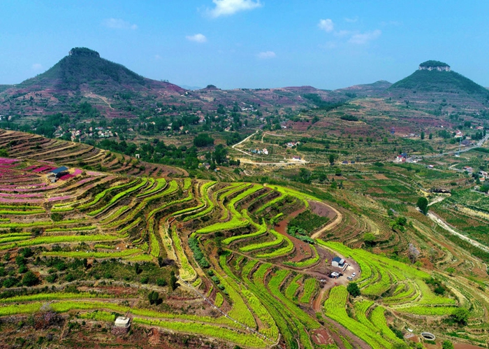 Tourists enjoy floral scenery in Shandong