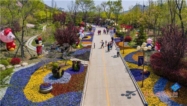 Qingdao flower expo opens