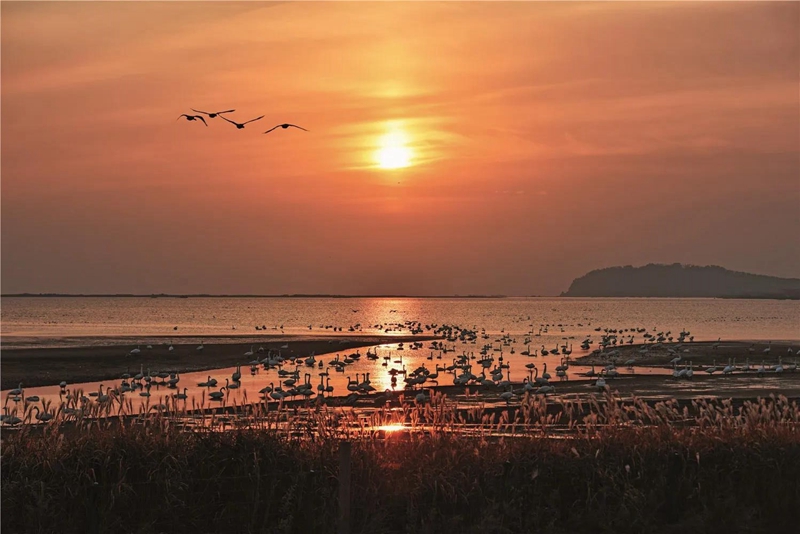 In pics: rivers and lakes in Shandong
