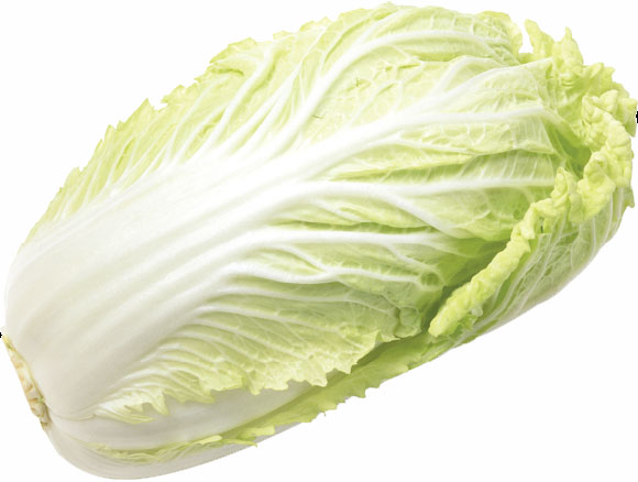 Where cabbage is king