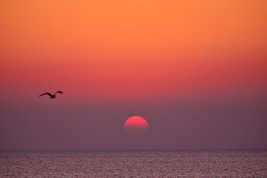 Wonderland-like sunrise in East China