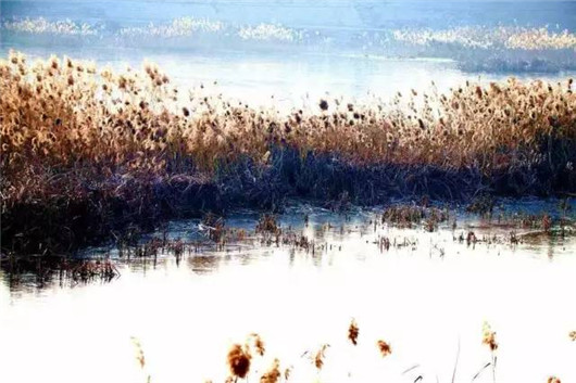 Early winter scenes on Yantai's Jiahe River