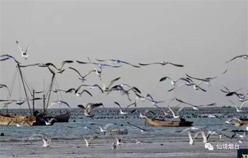 Kongdong Island: an idyllic ocean world