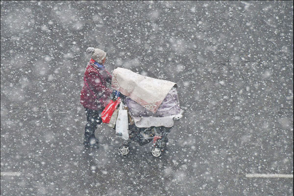 Snowy stroll