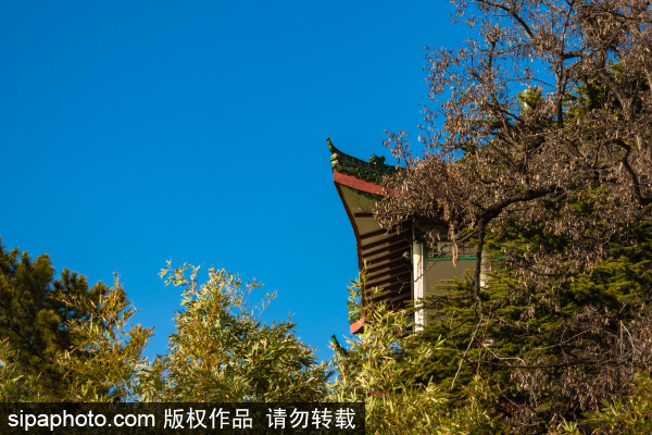 Spring scenery at Nanshan Park in Yantai