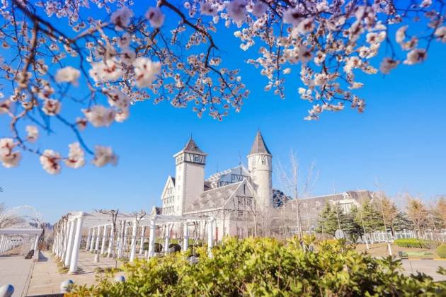 Breathtaking spring scenery of Chateau Changyu Castle