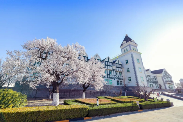 Breathtaking spring scenery of Chateau Changyu Castle