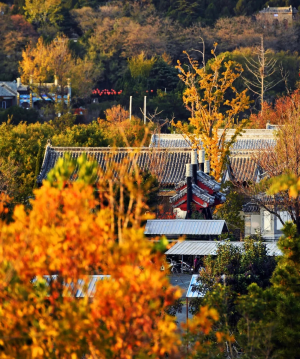 Admire Penglai scenery in early winter