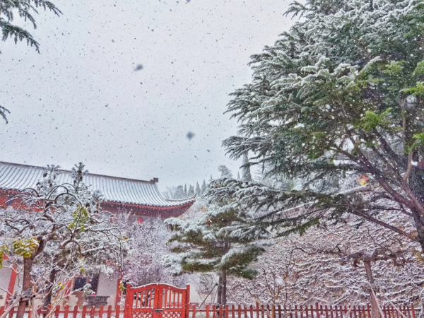 ​Snow falls on Nanshan Mountain