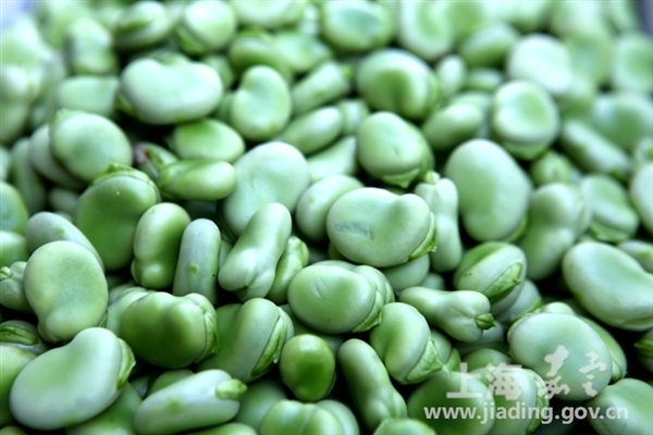Jiading white beans appear on the market