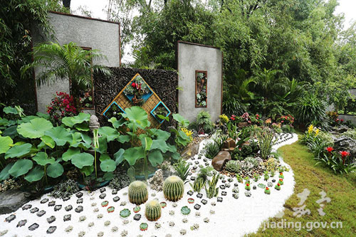 Jiading kicks off annual water lily and lotus show