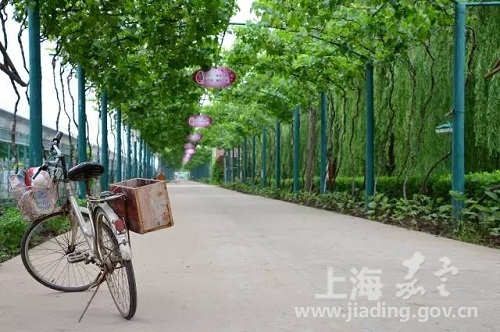 Places to offer half-price tickets in Jiading