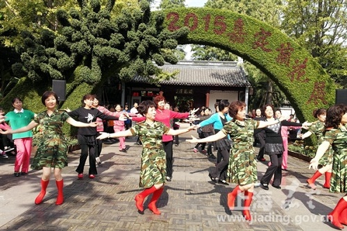 Chrysanthemum show returns to Jiading