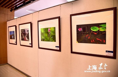 Jiading photography association hosts exhibition