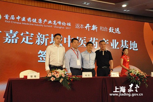 Jiading New City holds Chinese medicine-focused summit