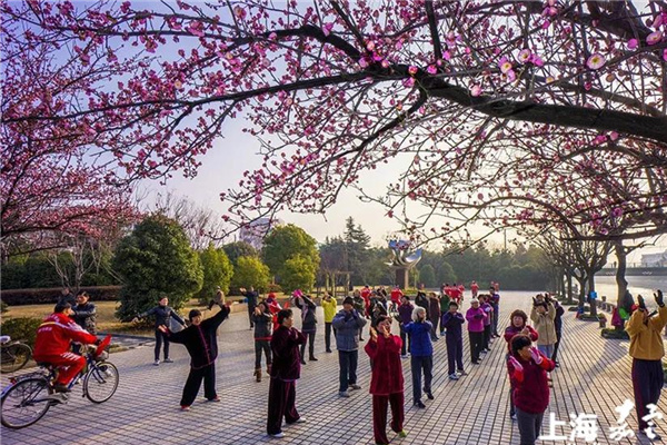 Jiading shortlisted for 15-minute community life circle pilot