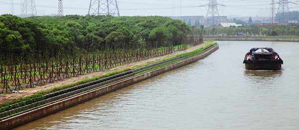 Jiading forges ahead with green development