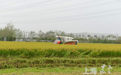 Advanced technologies make farming more precise and efficient