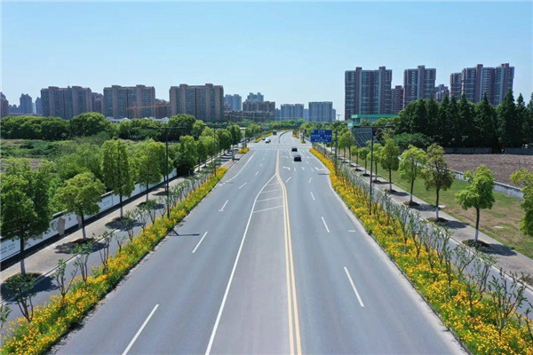 In pics: Early sunrise flowers flourish in Jiading New City