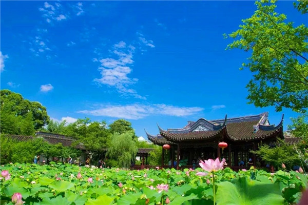 Jiading sees strong consumption rebound during May Day holiday