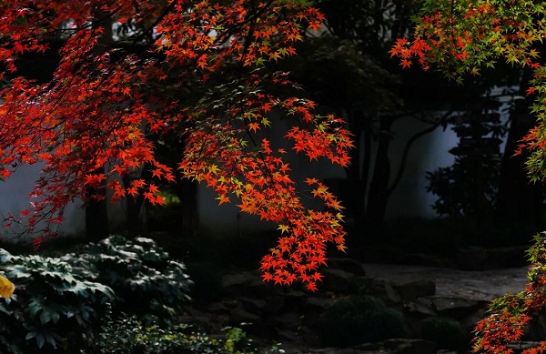 Picturesque autumn in Jiading