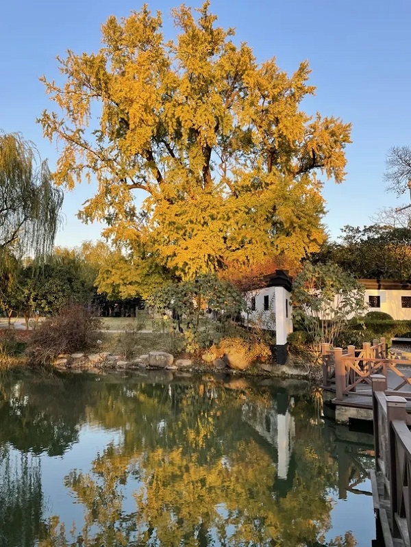 Picturesque autumn in Jiading