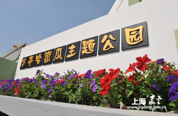 Jiading promotes agricultural tourism development