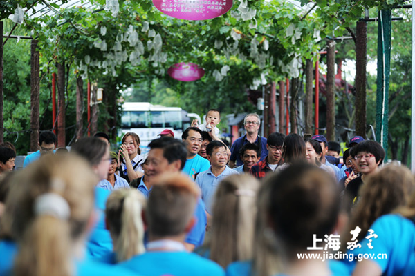 Pick grapes in Jiading