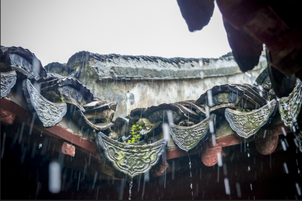 Rain cools down summer heat in Jiading