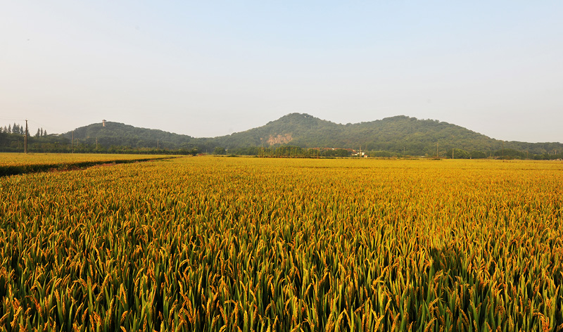 Tianma Mountain Park