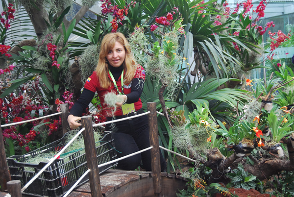 Shanghai Orchid Exhibition attracts orchid experts